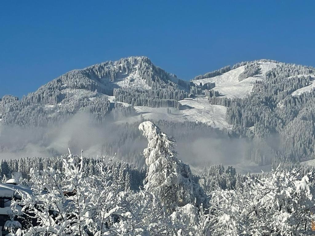 Panoramablick Ferienwohnungen Fischen im Allgaeu Exterior photo